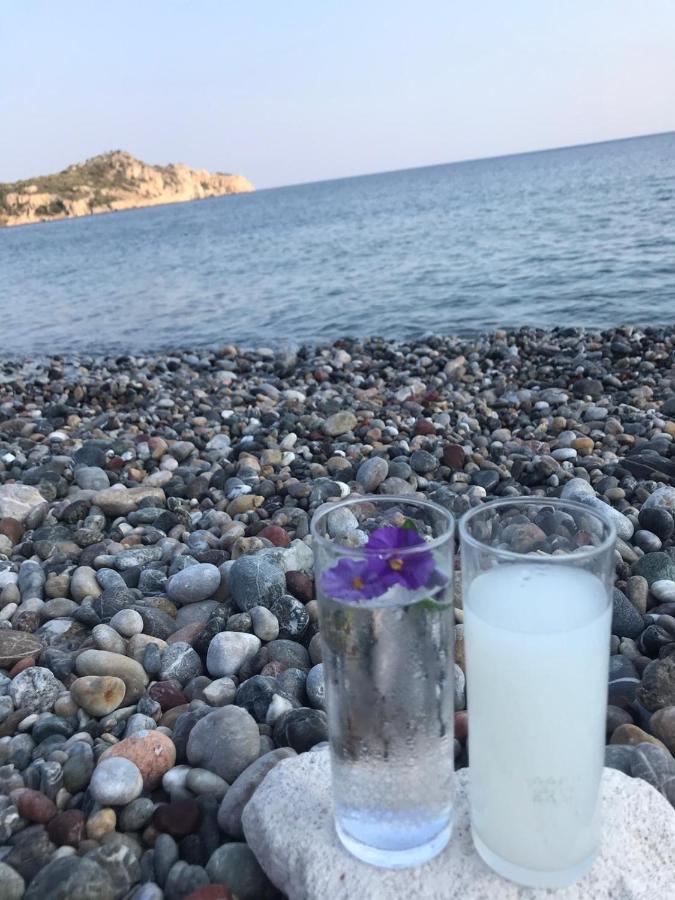 Melinda Pension & Restaurant Mesudiye  Dış mekan fotoğraf