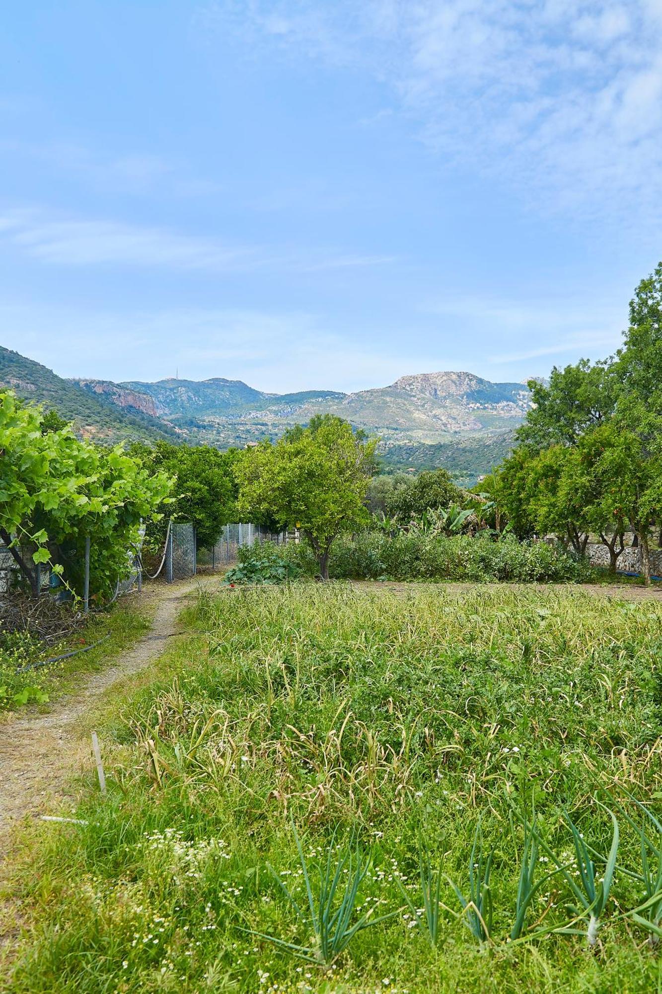 Melinda Pension & Restaurant Mesudiye  Dış mekan fotoğraf